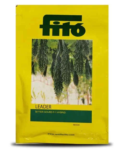 LEADER BITTERGOURD ( लीडर करेला )