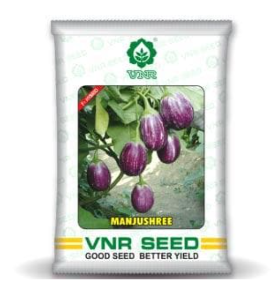 Manjushree F1 Hybrid Brinjal Seeds
