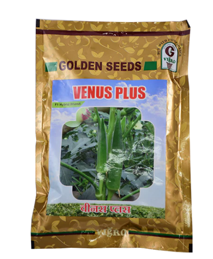 VENUS PLUS BHENDI (OKRA) ( वीनस प्लस भिंडी )