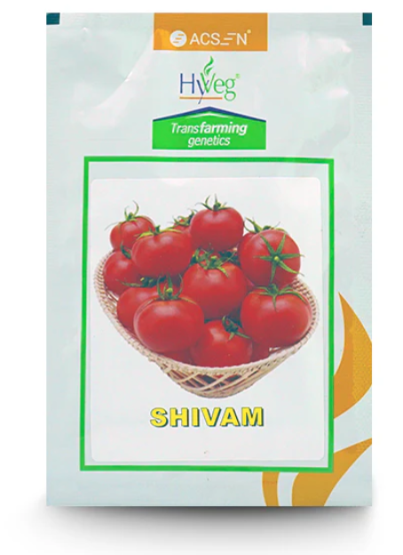 शिवम टमाटर 