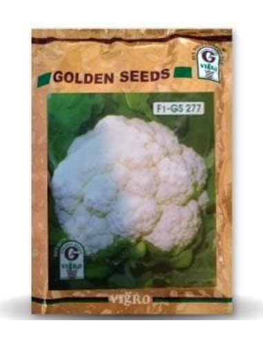 GS-277 CAULIFLOWER