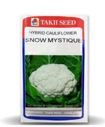 SNOW MYSTIQUE CAULIFLOWER F1