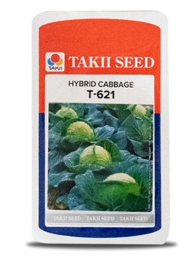 T-621 CABBAGE F1