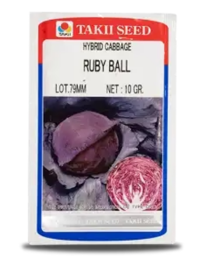 RUBY BALL CABBAGE F1