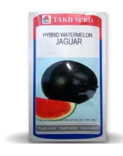 JAGUAR WATERMELON F1