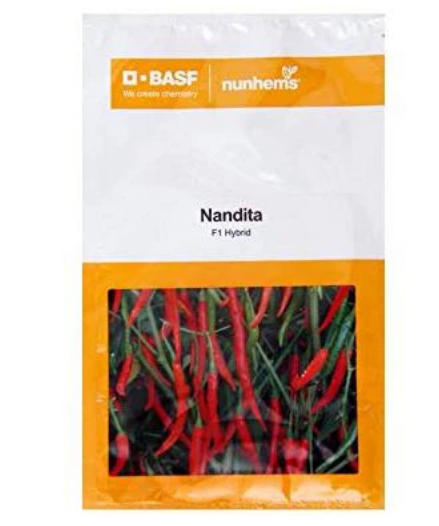 NANDITA CHILLI