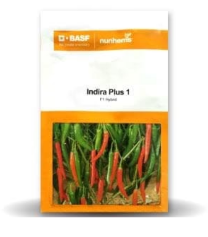 इंदिरा प्लस 1 मिर्च