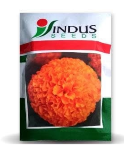 SEMI TALL ORANGE MARIGOLD (1000 sds)