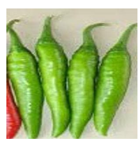 V 33 మిరప