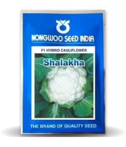 SHALAKHA CAULIFLOWER