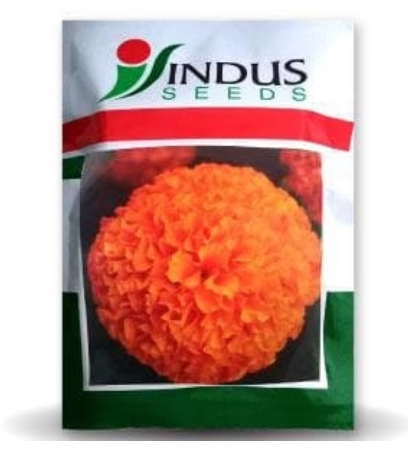 SEMI TALL ORANGE MARIGOLD (10000 Seeds)
