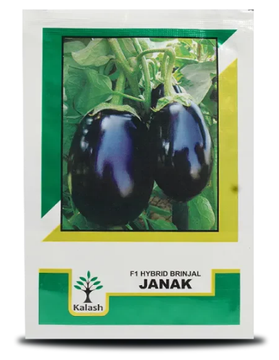JANAK BRINJAL SEEDS