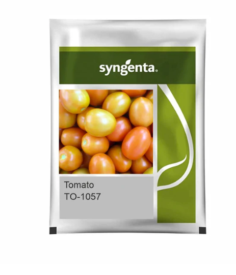 TO -1057 Tomato Seeds