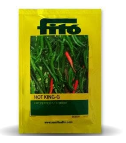 हॉट किंग जी