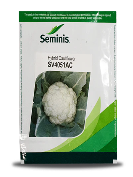 SV4051AC CAULIFLOWER SEEDS