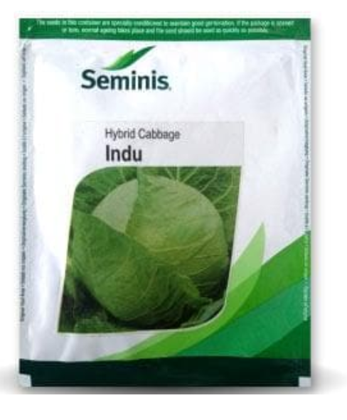 INDU CABBAGE