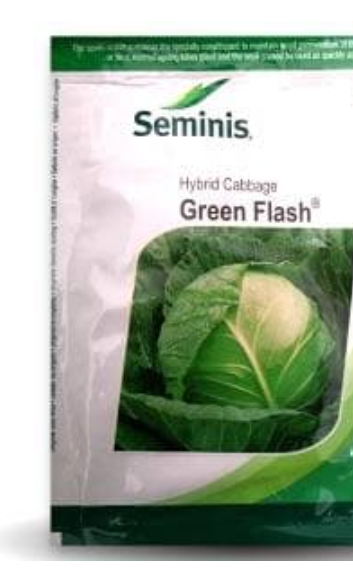 GREEN FLASH CABBAGE