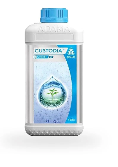 Custodia Fungicide – Azoxystrobin 11% & Tebuconazole 18.3% SC