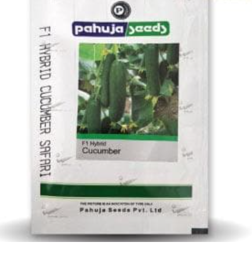 सफ़ारी ककड़ी