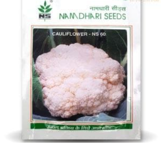 एनएस 60 फूलगोभी