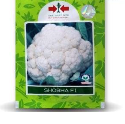 SHOBHA F1 CAULIFLOWER