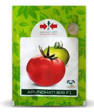 ARUNDHATI 809 F1 TOMATO ( अरुंधती टमाटर )