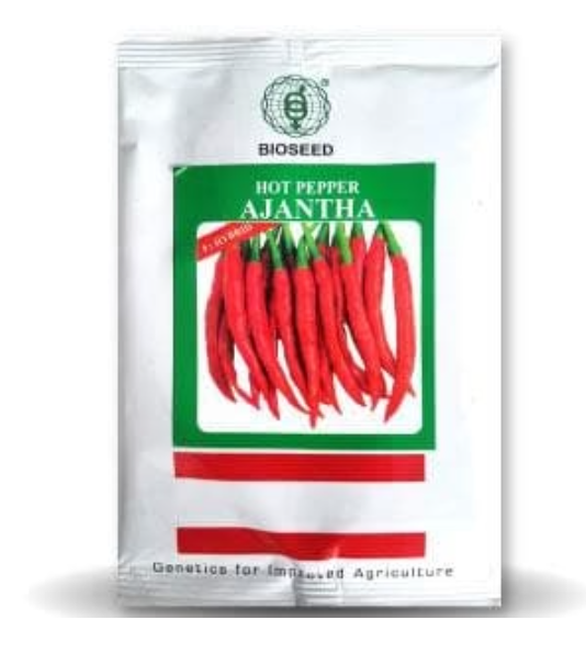 AJANTHA CHILLI (अजंता मिर्च ) - SEEDS