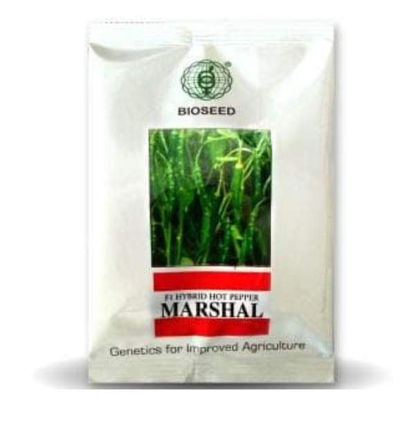 మార్షల్ మిరప