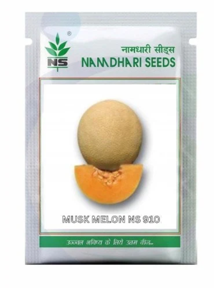 NS 910 F1 Hybrid Muskmelon Seeds: Early, High-Yield, Sweet Fruit