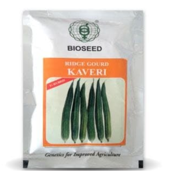 KAVERI RIDGE GOURD ( कावेरी तुरई )