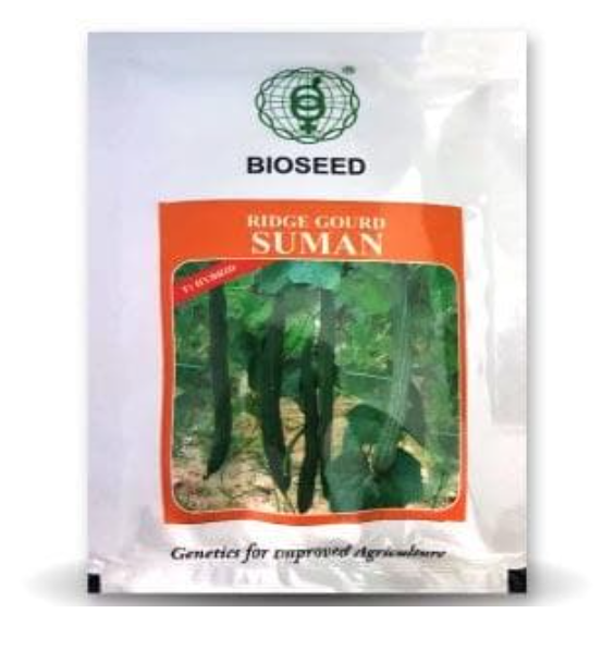 SUMAN RIDGE GOURD ( सुमन 4 तुरई )