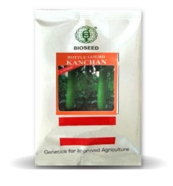 KANCHAN BOTTLE GOURD ( कंचन लौकी )