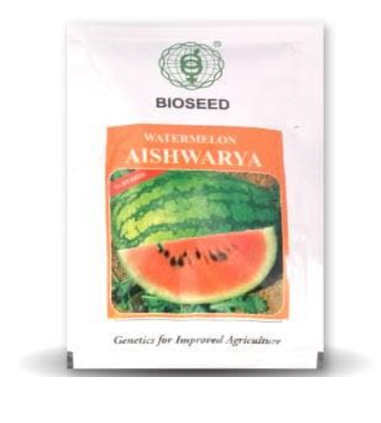 AISHWARYA WATERMELON ( ऐश्वर्या तरबूज ) - SEEDS