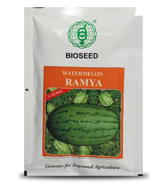 RAMYA WATERMELON