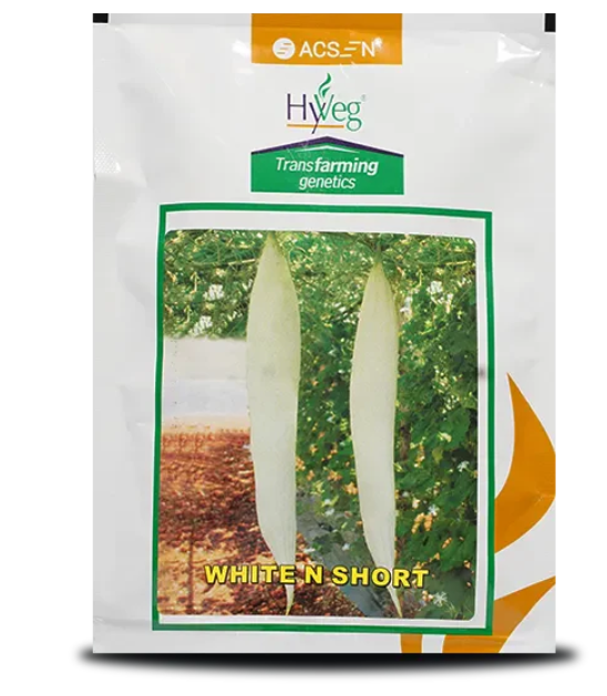 WHITE N SHORT SNAKE GOURD F1