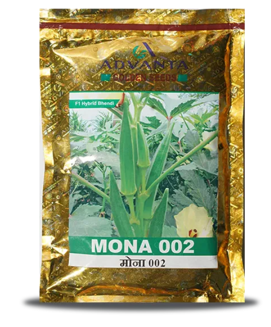 MONA 002 BHENDI ( मोना भिंडी )