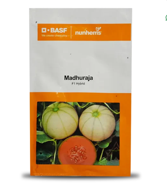 MADHURAJA MUSKMELON SEEDS