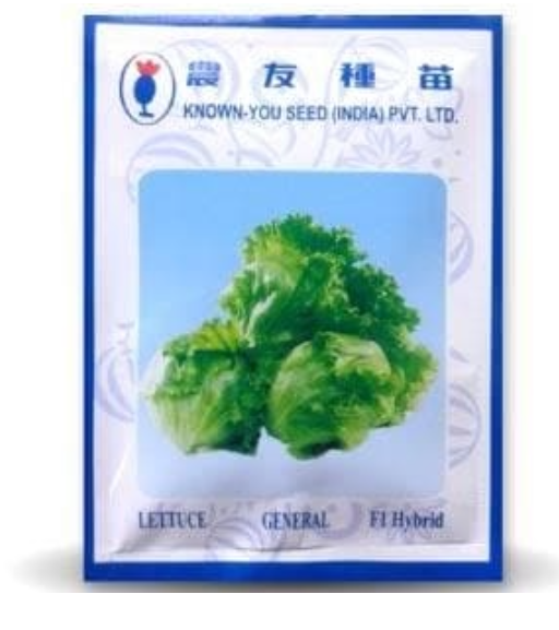 GENERAL LETTUCE
