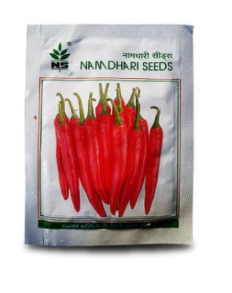 NS 1840 Chilli Seeds