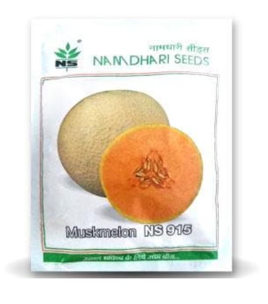 NS 915 F1 Hybrid Muskmelon Seeds