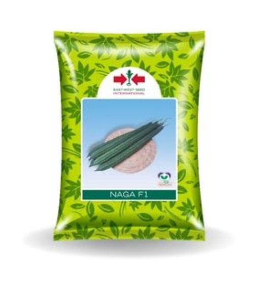 Naga Ridge Gourd Seeds – High Yield & Vigorous Growth