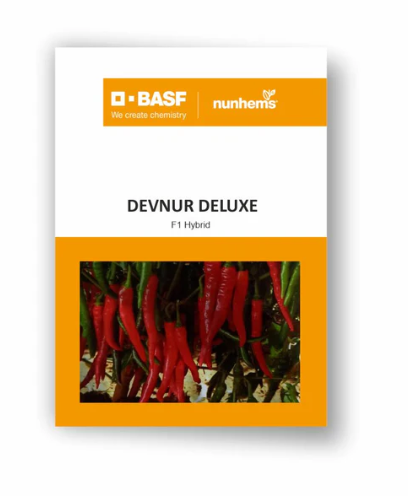 DEVNUR DELUXE CHILLI