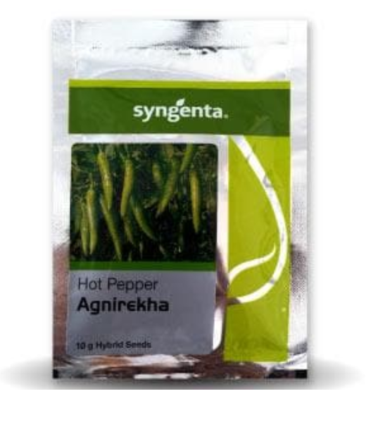 AGNIREKHA CHILLI (अग्निरेखा मिर्च) - SEEDS