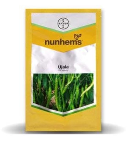 UJALA CHILLI SEEDS