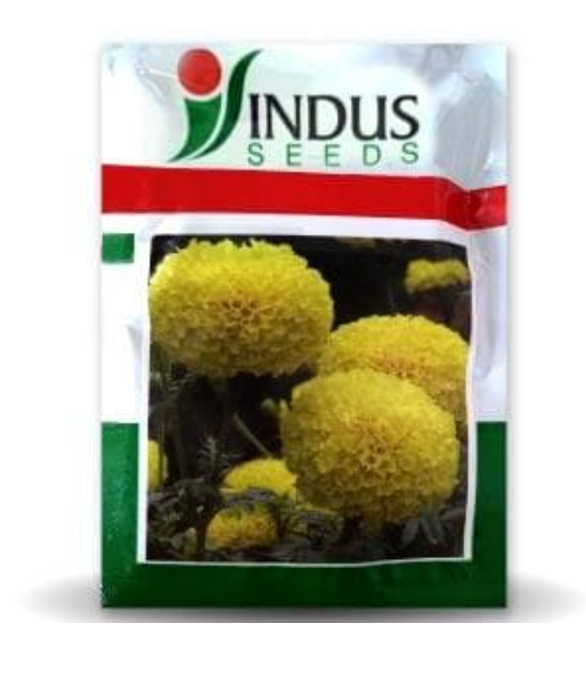 BENZ TALL MARIGOLD