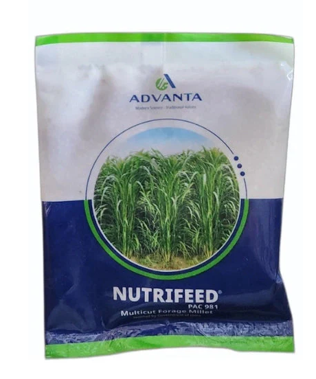 Nutrifeed Forage