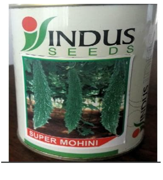 SUPER MOHINI BITTERGOURD ( सुपर मोहिनी करेला )