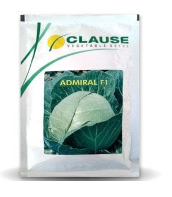 ADMIRAL CABBAGE - SEEDS