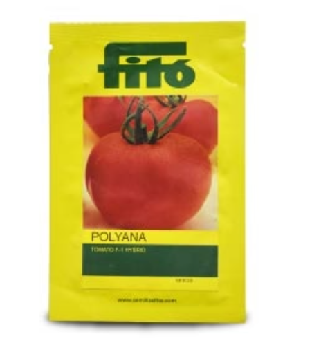 POLYANA TOMATO ( पोलियाना टमाटर )