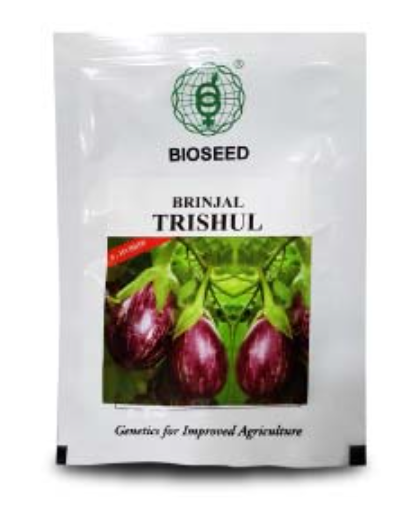 TRISHUL BRINJAL